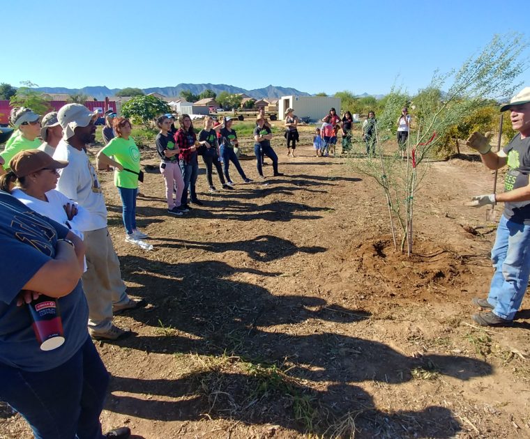 Phoenix Urban Heat Planning Activities: planting trees