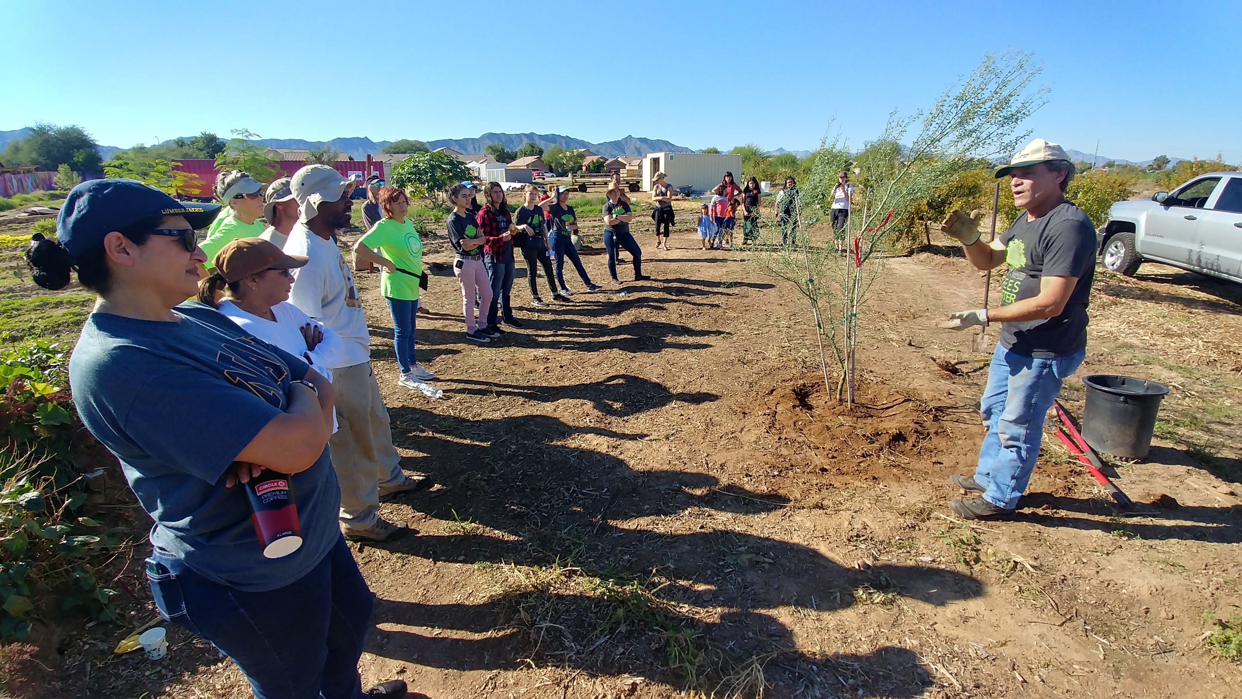 Phoenix Urban Heat Planning Activities: planting trees