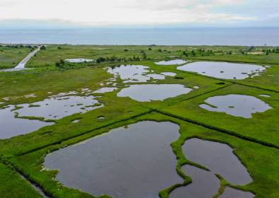 An aerial view of coastal marshes in Cape Cod