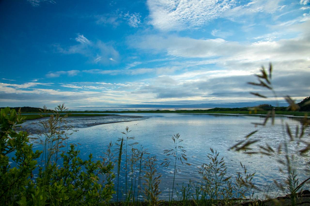 Herring River Estuary in Wellfleet, Massachusetts. Credit: Impact Media Lab / AAAS